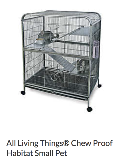 Rat starter cage sale